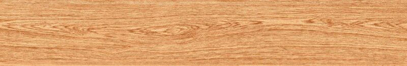 NICOBAR CEDAR